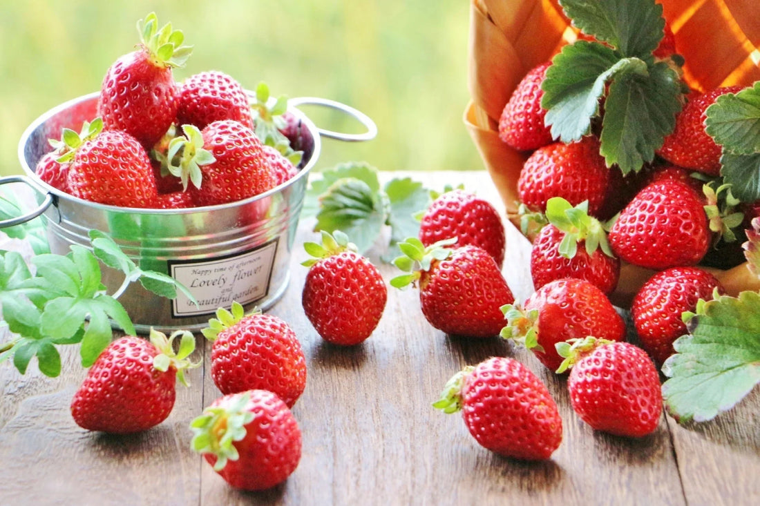 美味しいだけじゃない「いちご」のお話
