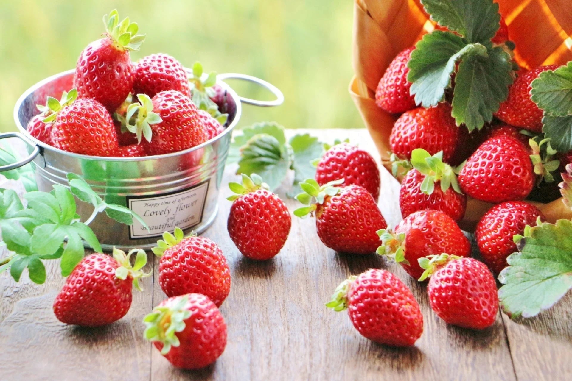 美味しいだけじゃない「いちご」のお話